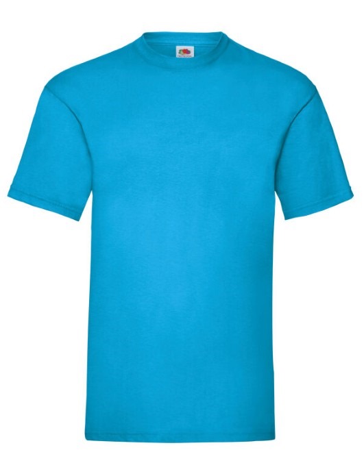 Men&#39;s Valueweight T-Shirt