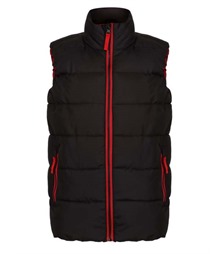 Scholar Thermal Bodywarmer