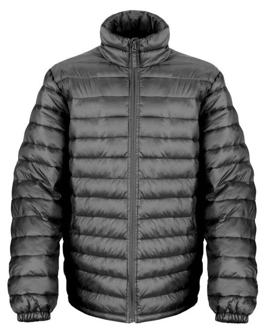 Men&#39;s Ice Bird Padded Jacket