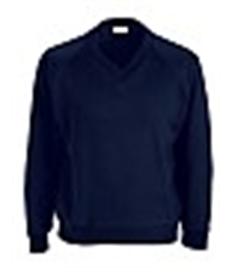 BH V-Neck Sweatshirt Adult