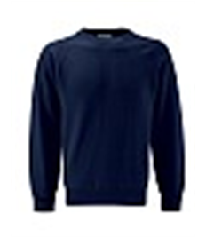 BH Crew Neck Sweatshirt Adult